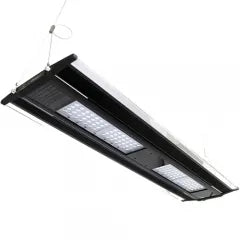Zetlight Qmaven II Q6