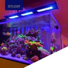 Zetlight Qmaven II Q6
