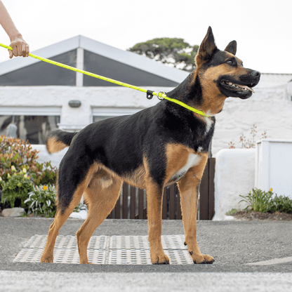 Rogz Rope Quick Fit Collar Lead