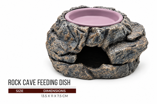 Reptile Rock Cave Feeding Dish