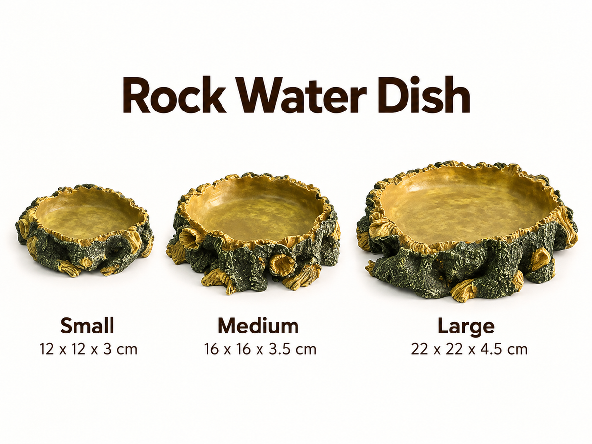 Reptile Rock Water Dish