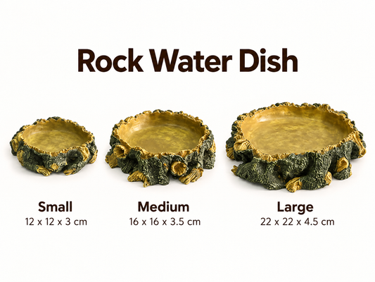 Reptile Rock Water Dish