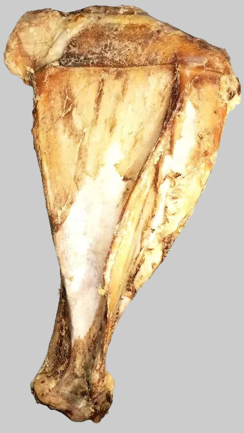 Pets Elite - Scapula Bone (XLARGE)