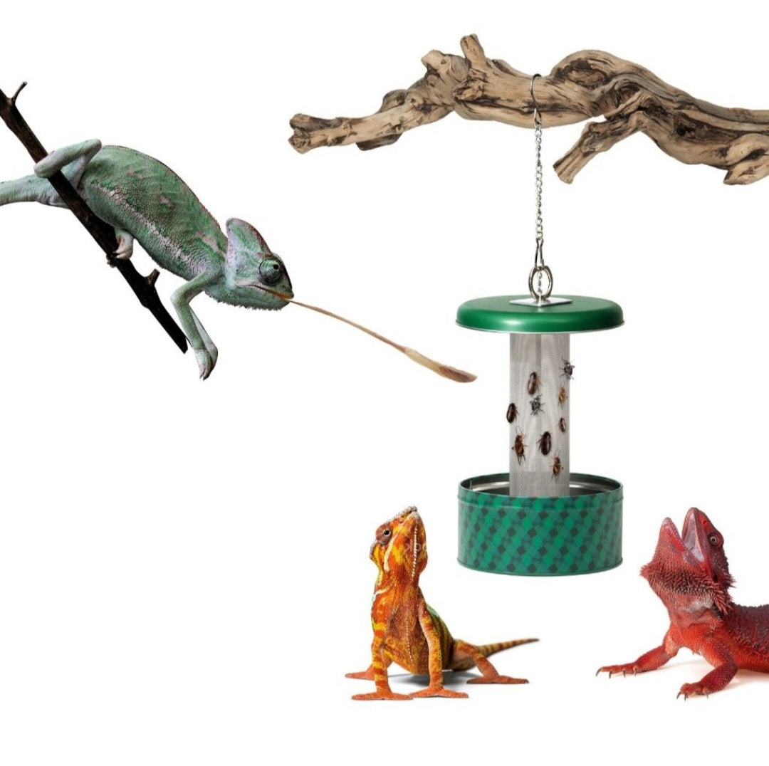 Giantgarden Chameleon Feeder