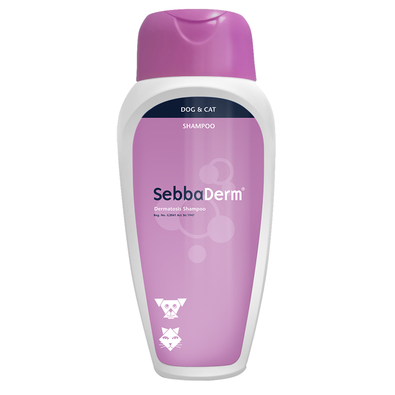 Kyron Sebbaderm Shampoo 250ml