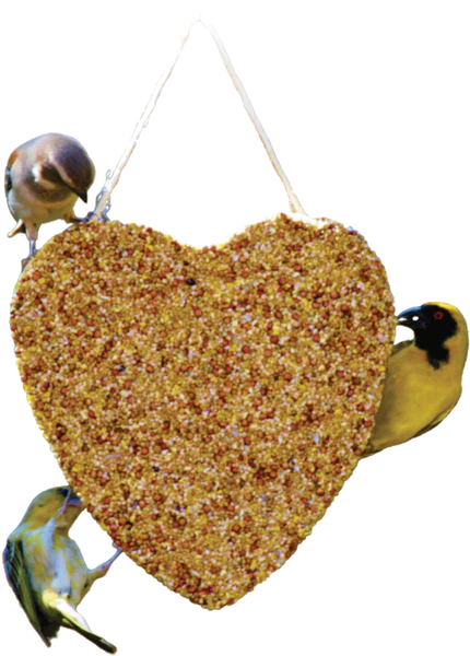 Elaine's Birding  Mini Seed Heart