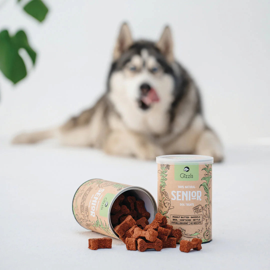 Gizzls Senior Dog Biscuits