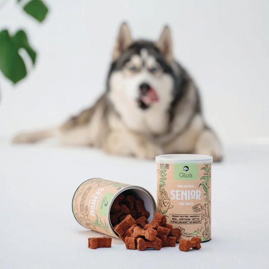 Gizzls Senior Dog Biscuits