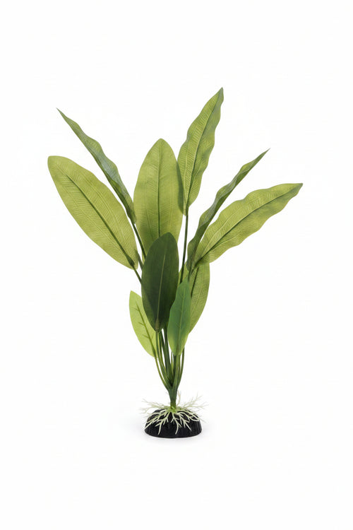 Silk Plant Green Narrow Leaf 12'