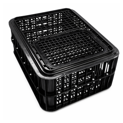 Classic Live Poultry Crate
