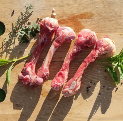 Yummies Frozen Springbuck Femur/ Tunnelcut  Bone