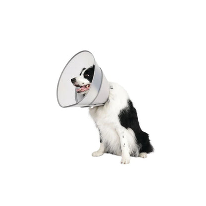 Mpets Pro-care Cone Collar