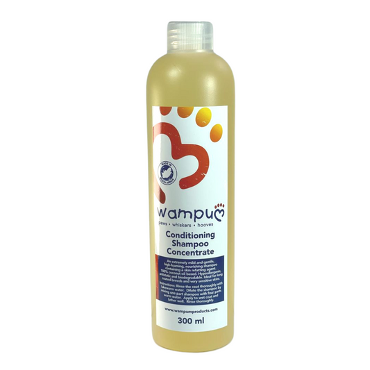 Wampum Conditioning Shampoo Concentrate