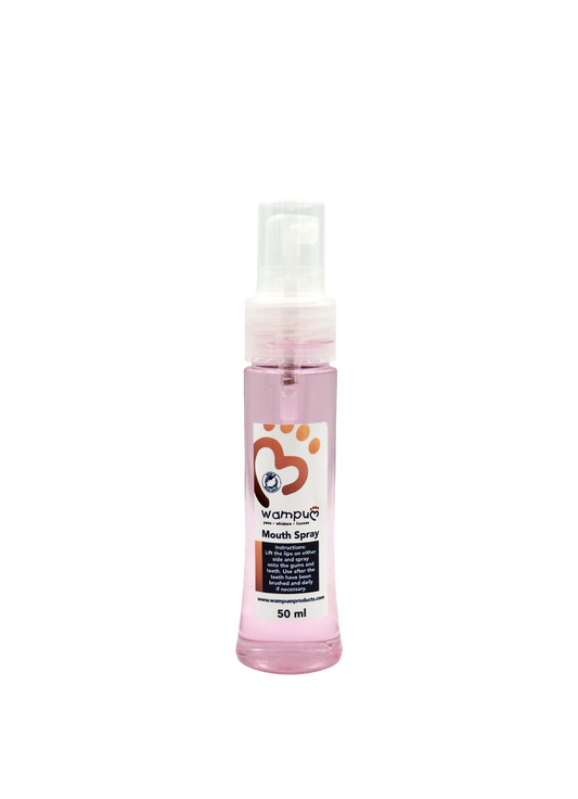 Wampum Anti-Bacterial Mouth Spray
