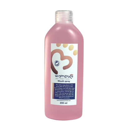 Wampum Anti-Bacterial Mouth Spray