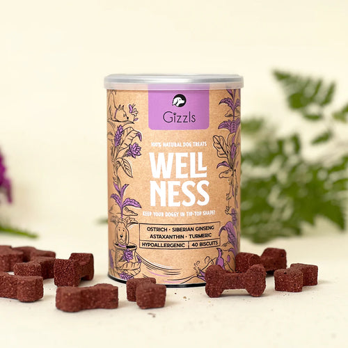 Gizzls Wellness Dog Biscuits