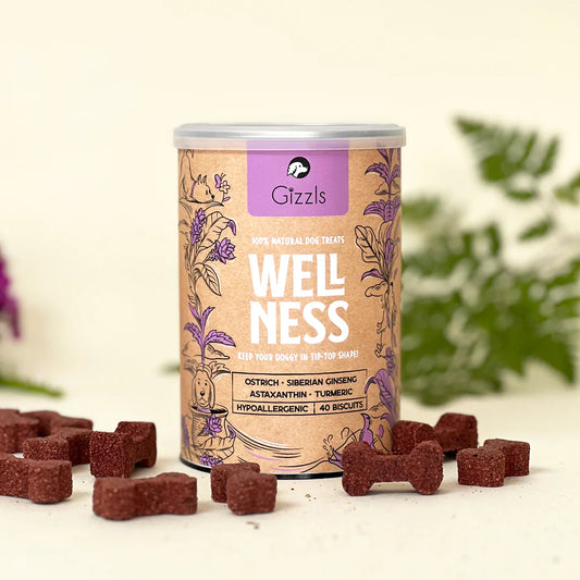 Gizzls Wellness Dog Biscuits