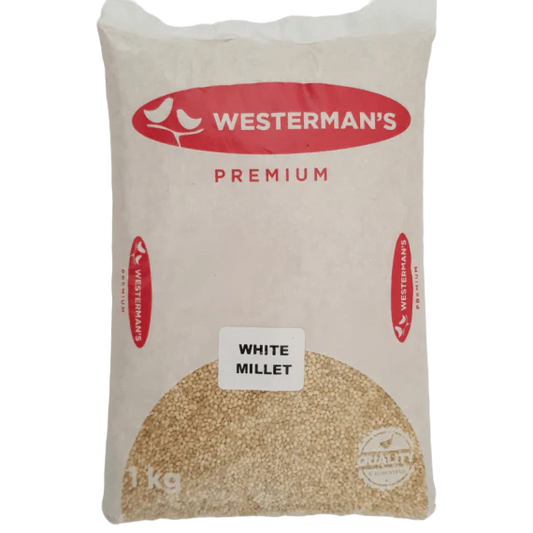 Westerman's White Millet 1kg