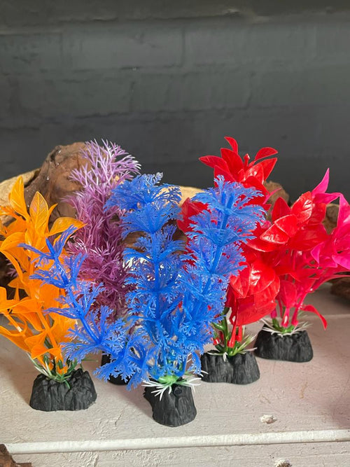 Colorful Aquarium Plants - Small