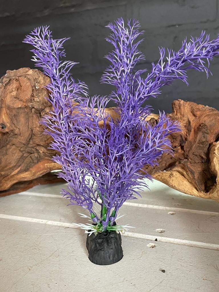 Colorful Aquarium Plants - Medium