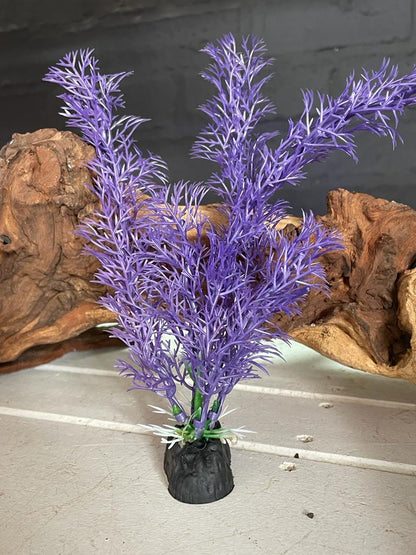 Colorful Aquarium Plants - Medium