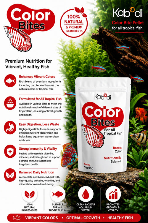 Kabadi Color Bites 50g M