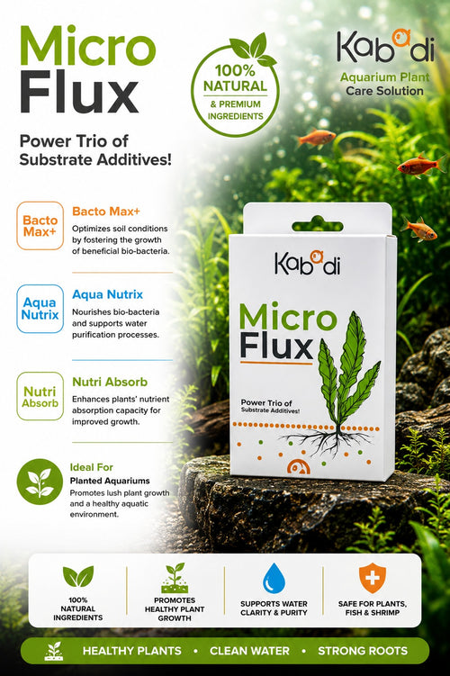 Kabadi Micro Flux