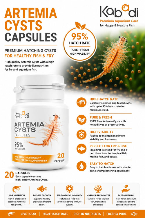 Kabadi Artemia Cysts Capsules 20