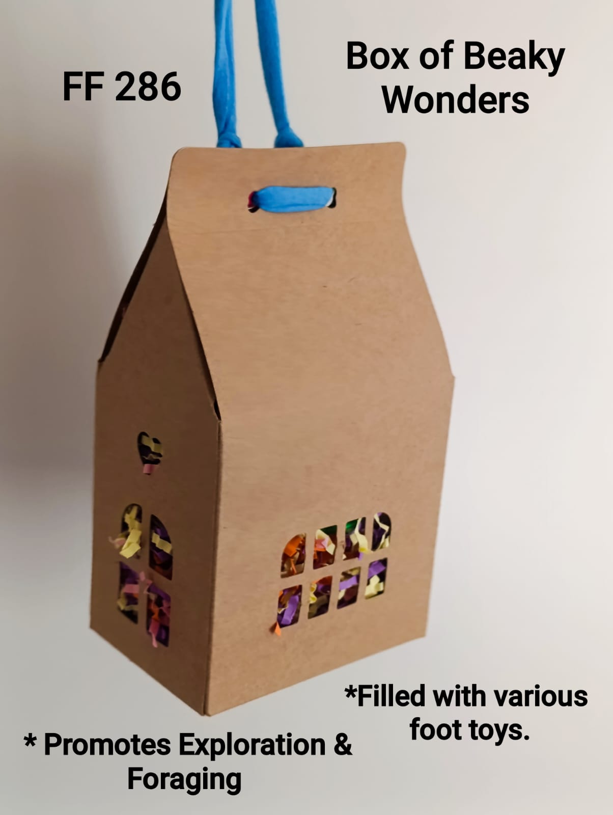 Box of Beaky Wonders Bird Toy