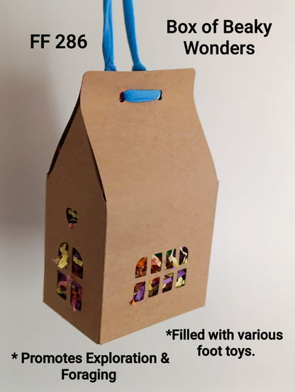 Box of Beaky Wonders Bird Toy