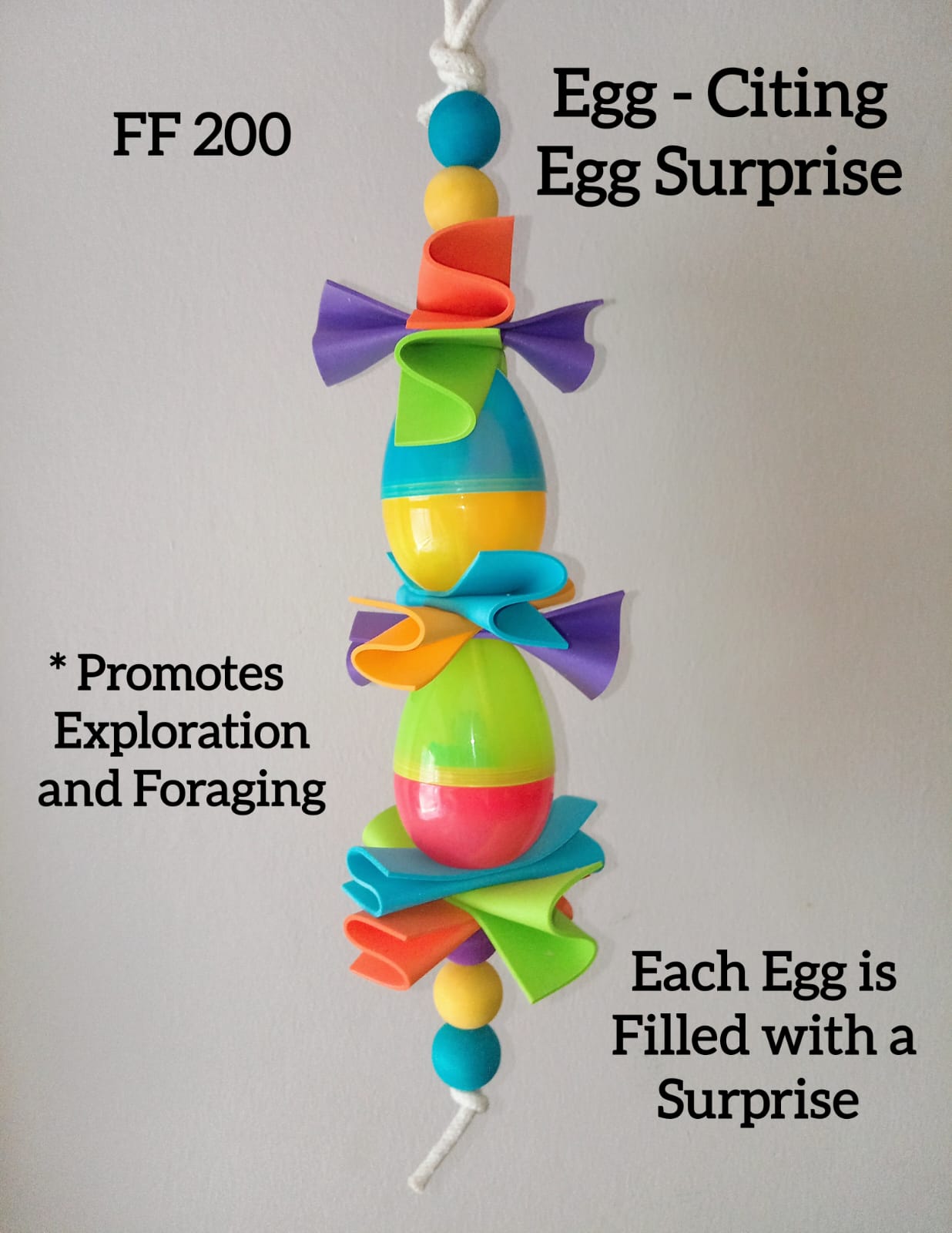Egg Surprise Bird Toy