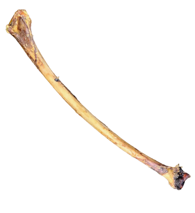 Yips & Yaps Pet Treats - Ostrich Wing Bone 2pc