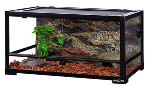 Komodo Knock Down Terrarium