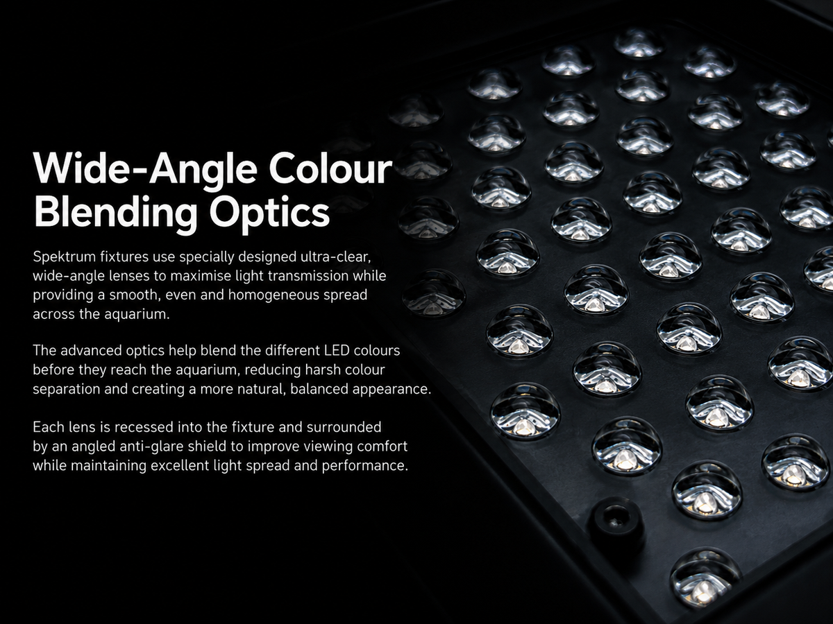 Spektrum Reef LED Lighting