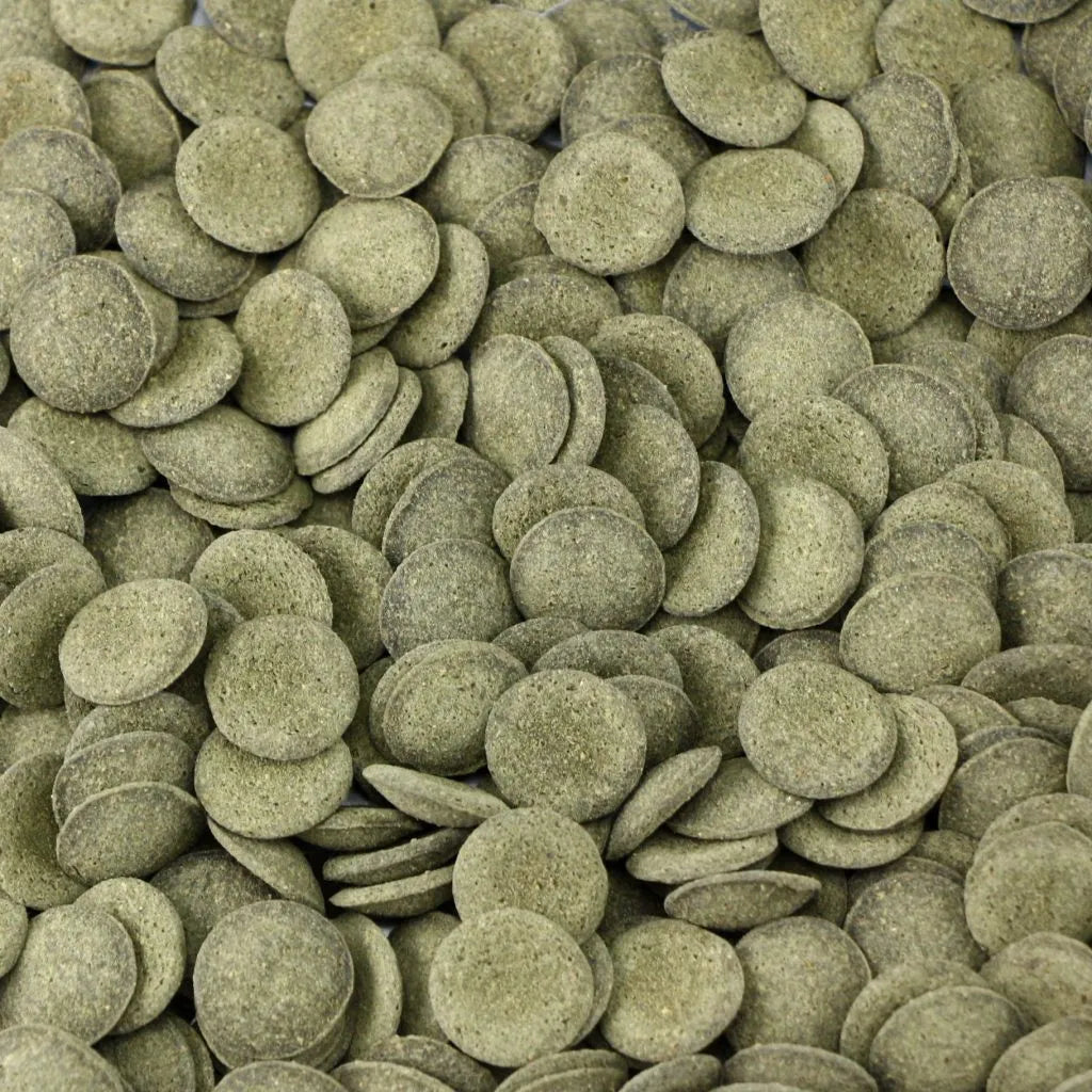 Ocean Nutrition Algae Wafer