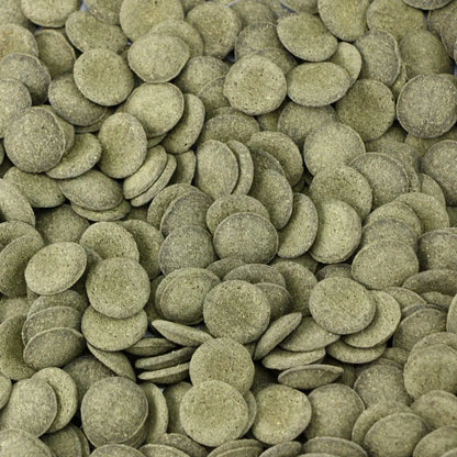 Ocean Nutrition Algae Wafer