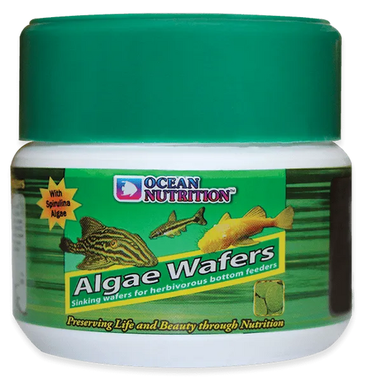 Ocean Nutrition Algae Wafer