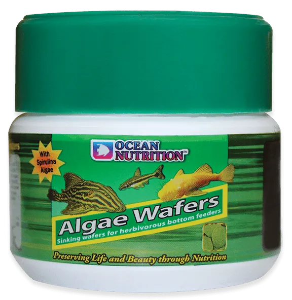 Ocean Nutrition Algae Wafer
