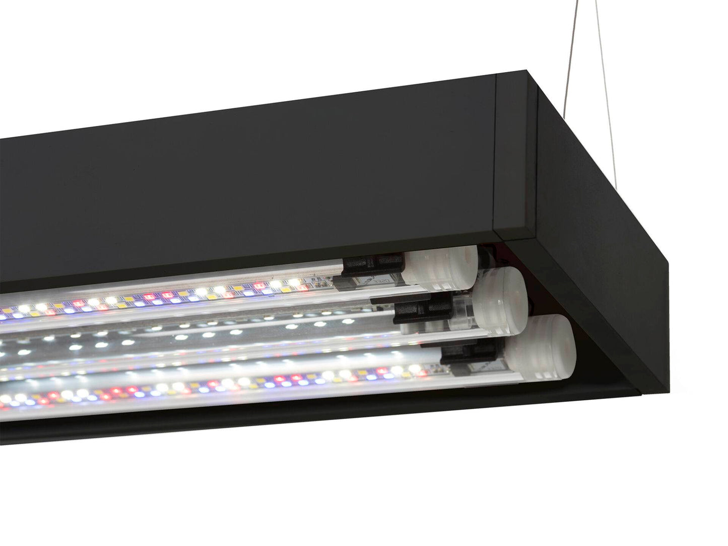 Aquael UltraScape 60 Aquarium Set Forest