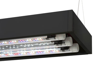 Aquael UltraScape 60 Aquarium Set Forest