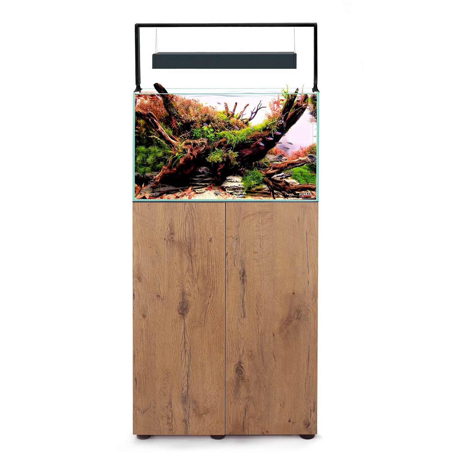 Aquael UltraScape 60 Aquarium Set Forest