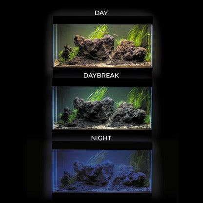 Aquael UltraScape 60 Aquarium Set Forest