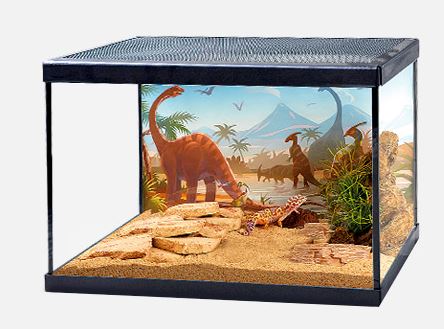 Resun Bearded Dragon Starter Kit
