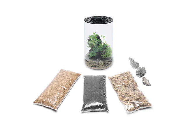 Bio Bowls Terrariums