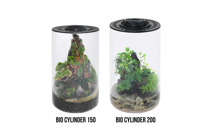 Bio Bowls Terrariums