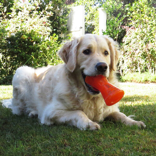 Bionic Bone Toy