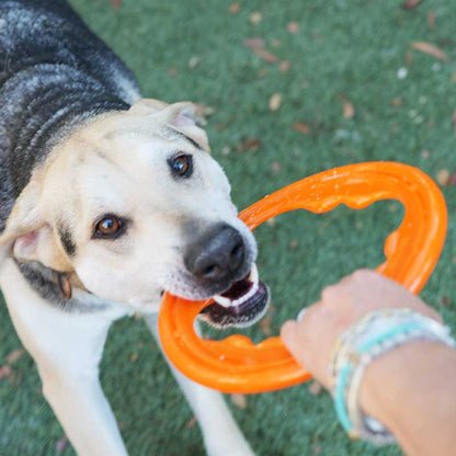 Bionic Toss n Tug Turbo