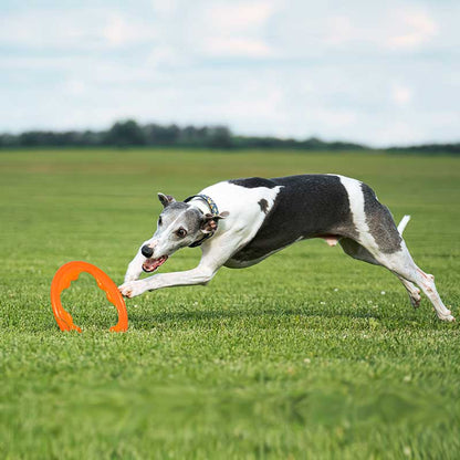Bionic Toss n Tug Turbo