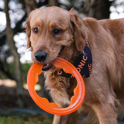 Bionic Toss n Tug Turbo