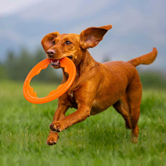 Bionic Toss n Tug Turbo